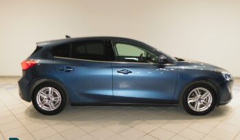 Ford Focus 1.5 EcoBlue 120 CV 5p. Business completo